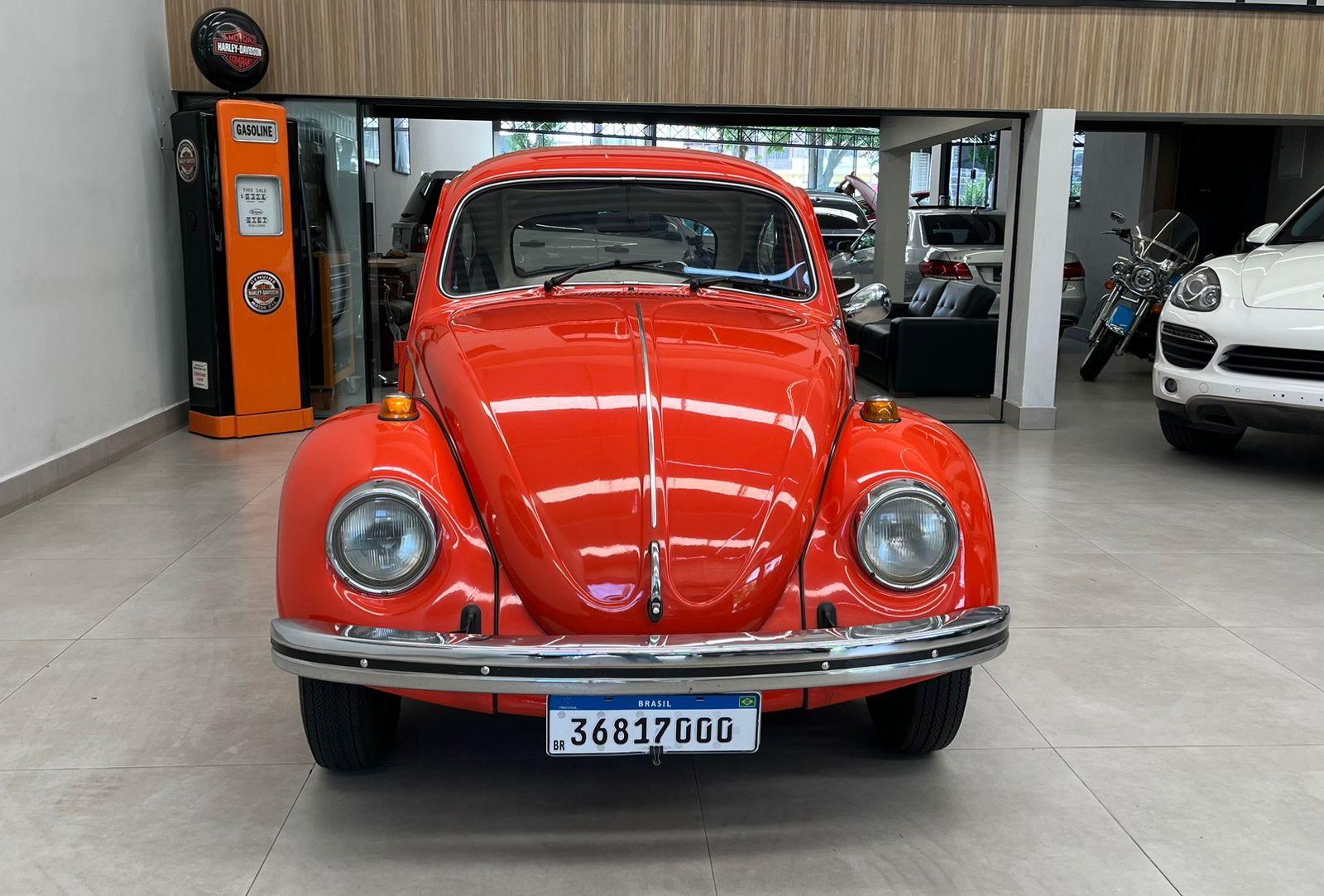 Clique para ver o vídeo